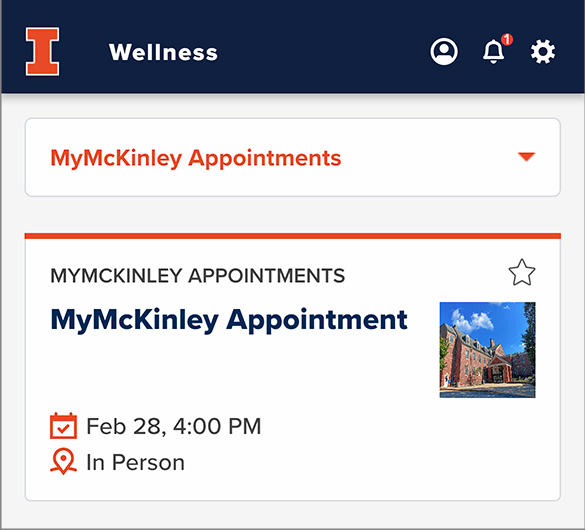 A screenshot showing a MyMckinley Appointment in the Wellness tool.