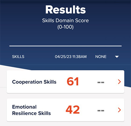 Result of your Skills Self-Evaluation.